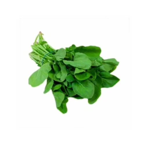 Fresh Jarjir Leaves